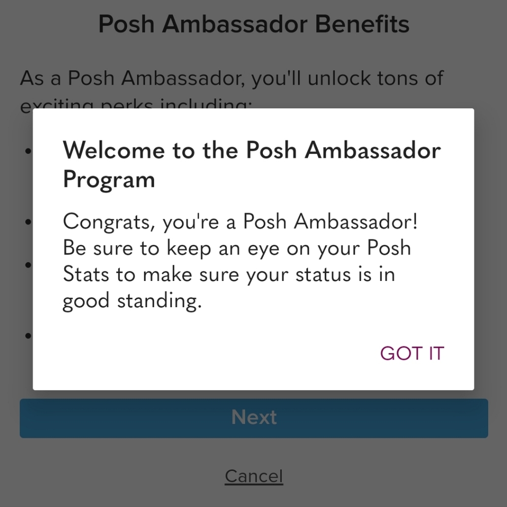 ✨️Poshmark Ambassador ✨️ - Picture 2 of 2